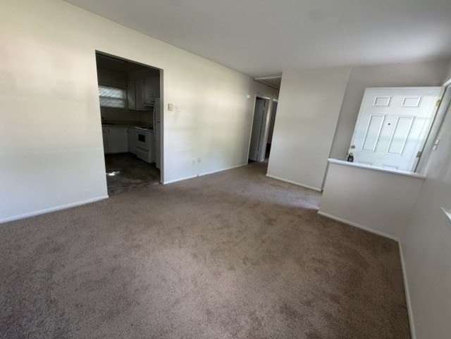 Gallery Photo 6